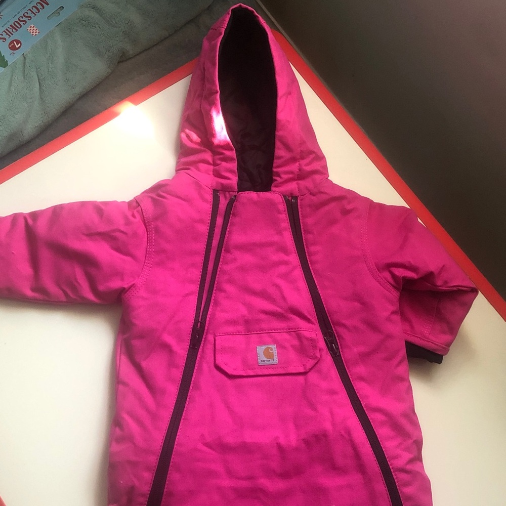 Carhartt pink Bunting!